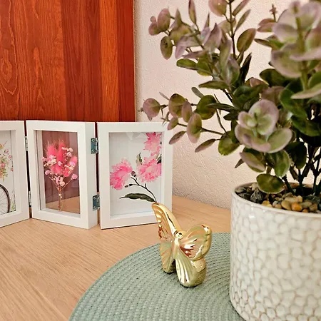 Elegant Lotus With Park Views Between Art Nouveau District & Old Town Appartement